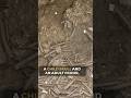 Why 37 Skeletons were Hidden in this Laos Jar...