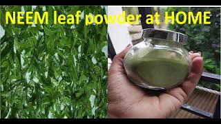 How to make neem leaf powder at home || Vepaku podi