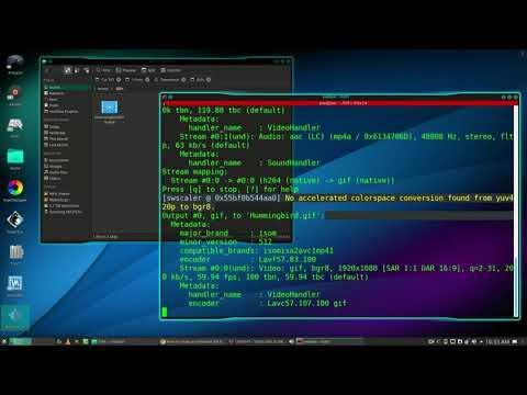 How To Convert MP4 To Animated GIF In Linux