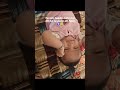 #song #fabiosakindness #baby #cute #heartwarmingact