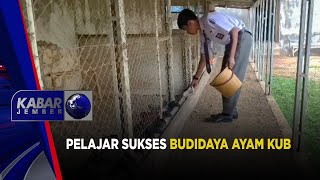 Pelajar Sukses Budidaya Ayam KUB | KABAR JEMBER