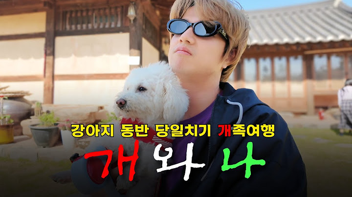 [Vlog] 강아지랑 함께 떠나는 당일치기 가능 개족여행🐾