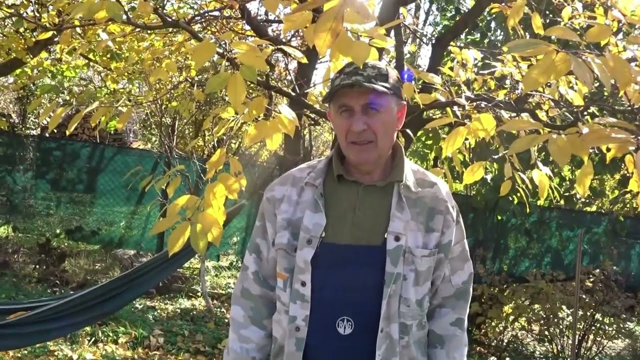 Metoda care te scapă de orbete/,,cățelul” pământului