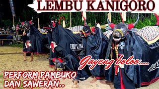 Guayengg... ‼️kreasi pambuko seni bantengan terbaru🔥LEMBU KANIGORO🔥
