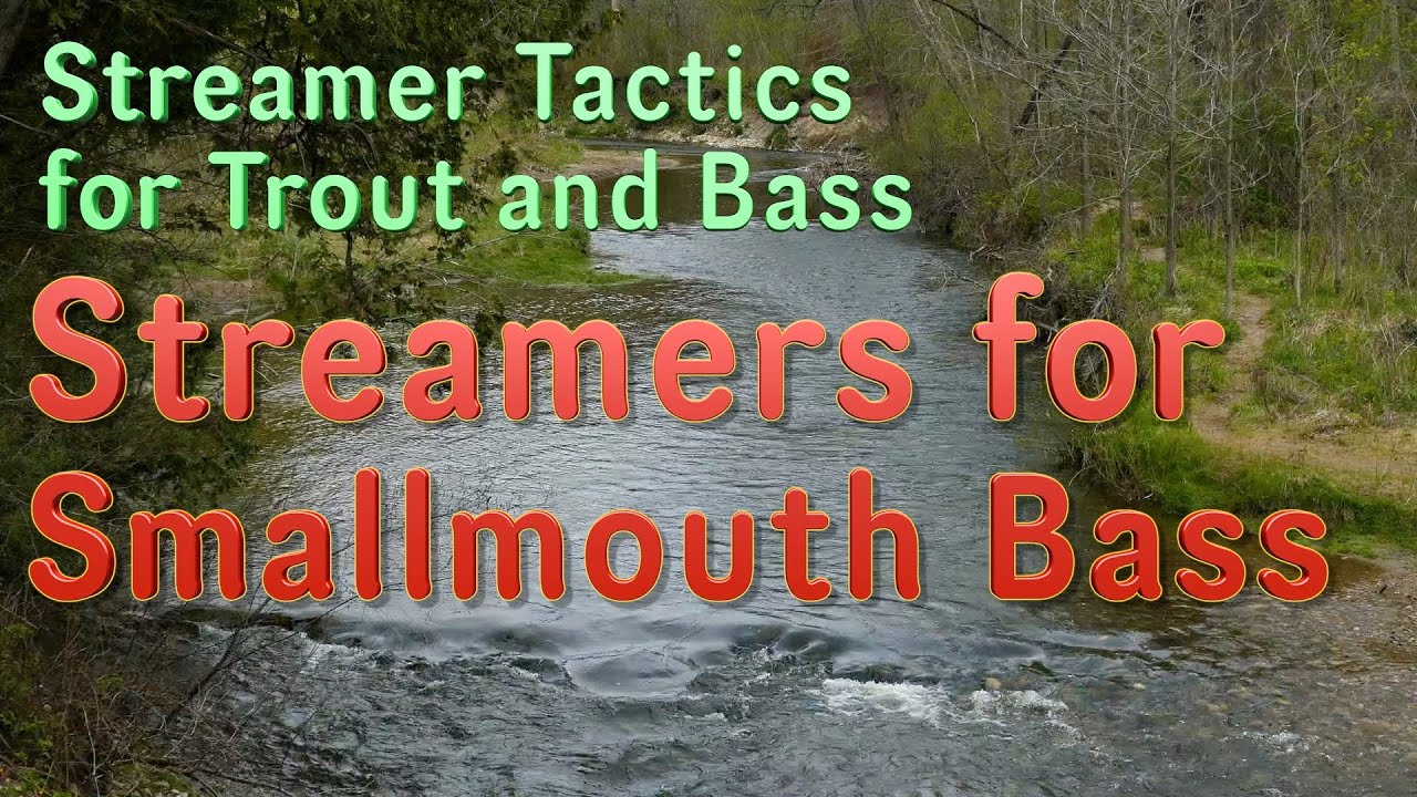 Streamer Tactics for Trout and Bass: Selecting Smallmouth Bass Flies According to the Season