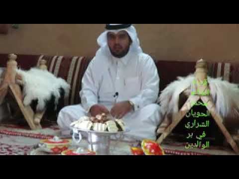 قصة محمد الحويان الشراري امي لشافت زولي تهلي ولغضي ان شاف زولي تحلاه