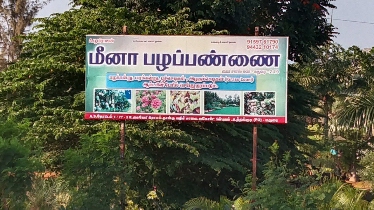 Best Nursery in Madurai Tamil/Low price plant nursery garden in madurai tamil CAR Official