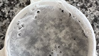 Кот Савелий И Его Приключение С Ситечком