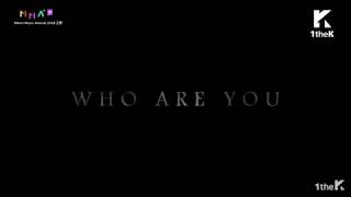 Mma 2018 Fake Love Intro Perf Bts Melon Music Awords Who Are You?