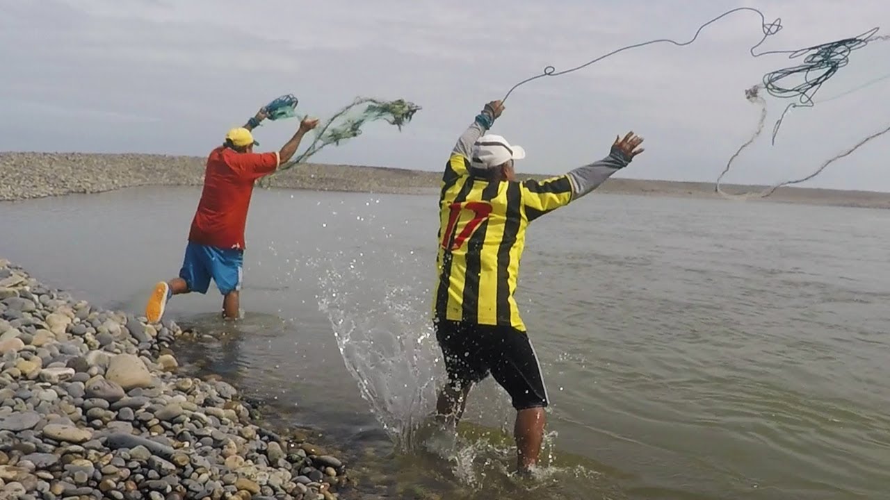 Asi pescan con atarraya en uno de los mejores lugares del mundo - YouTube