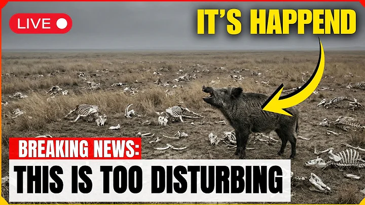 Texas’s WILD HOG ERADICATION Footage Reveals the Aftermath Nobody Expected | New Project