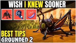 Grounded 2 Tips I Wish I KNEW Sooner: Things The Game Doesn't Tell You