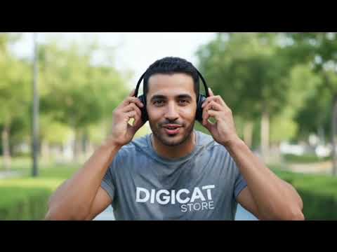   2025         23  2025  