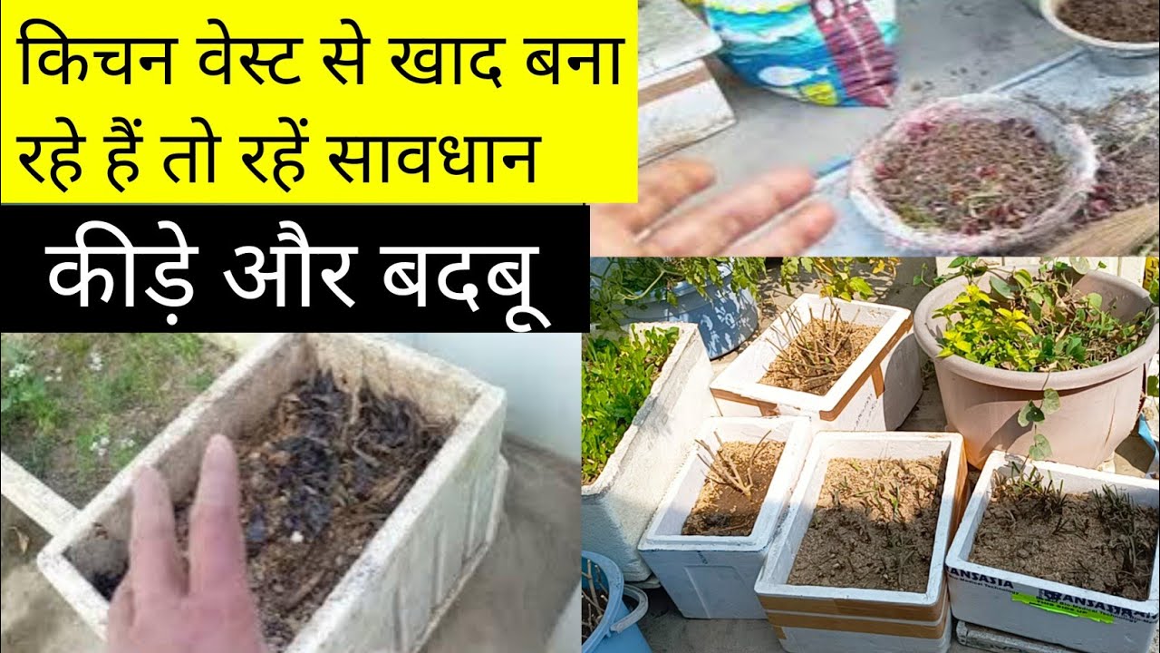 🔴 KITCHEN WASTE DIY COMPOSTING/किचनवेस्ट से खाद बनाते समय गलतियां/बिनाकीड़े बिनाबदबू खाद कैसे बनाएं