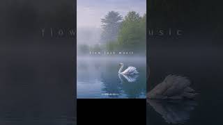🎧Swan Lake Pop Jazz  #slowpopjazz #emotionalpop#
