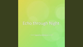 Echo through Night