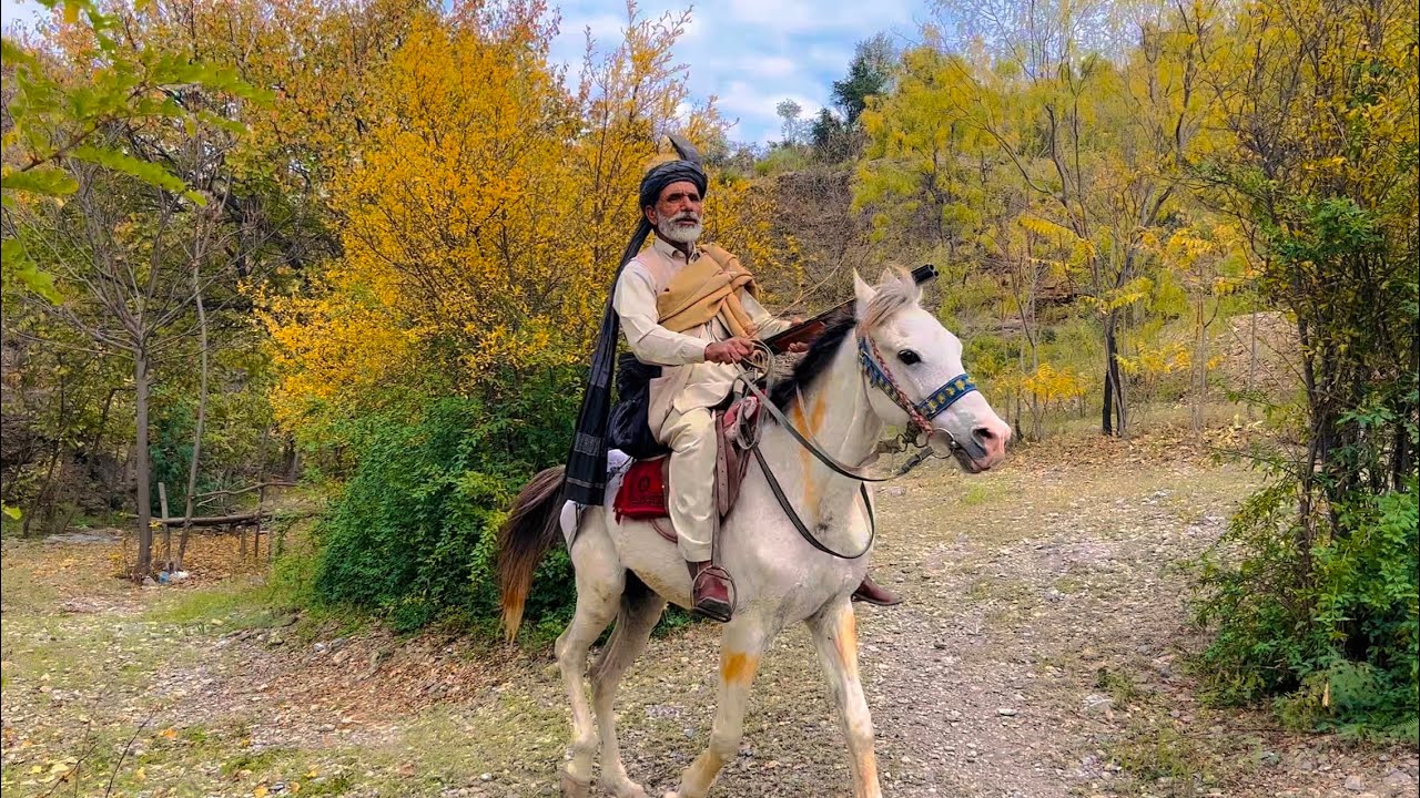 Malik Dildar Ali | Kurram