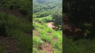 Unión de Tula Jalisco.. Juan Contreras..