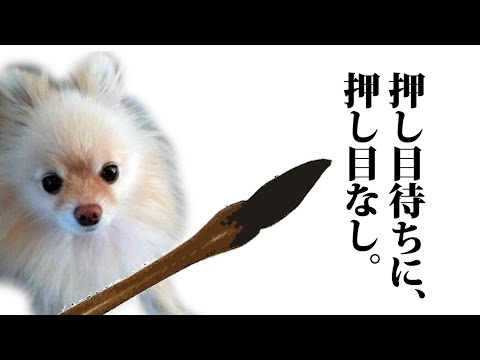 押し目待ちに、押し目なし、バイーンと一気に動く相場になるのはなぜ？