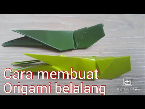 Cara Membuat Belalang
