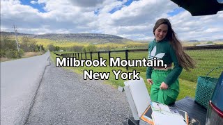 Minnewaska State Park 😍 Longform painting video TEST 💚 Mid-Hudson Valley plein air painting sesh 🧚🏻
