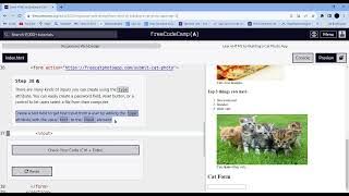 Learn HTML by Building a Cat Photo App  Step - 38 ||  freeCodeCamp