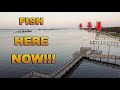 The fish are stacked on these iykyk florida hot spots fishing