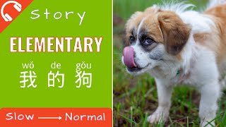 [True Story]我的狗 Mandarin Chinese Short Stories for Beginners | Elementary Chinese Listening Practice