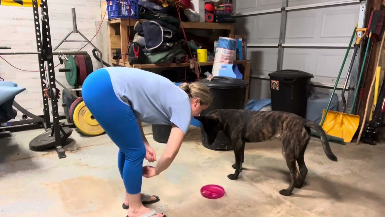 Dish MC with other MCs