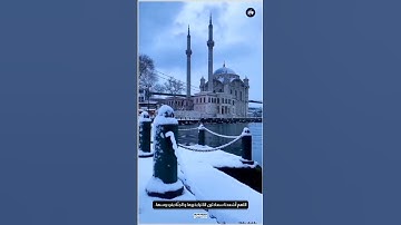 ﴿إِنَّ الَّذينَ قالوا رَبُّنَا اللَّهُ ثُمَّ استَقاموا﴾ تلاوة خاشعة من سورة فصلت بصوت فارس عباد