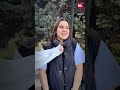 Подарки на 23 февраля. Спойлер: носки в лидерах