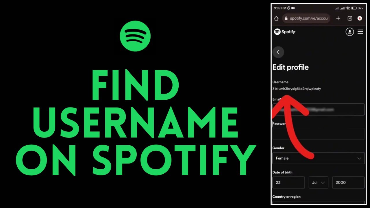 How to Find Username on Spotify 2024 (EASY!) | Find Spotify User Handle ...