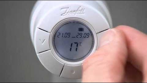 living eco - Travel program