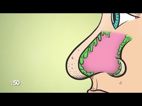 What Are Boogers? | WebMD