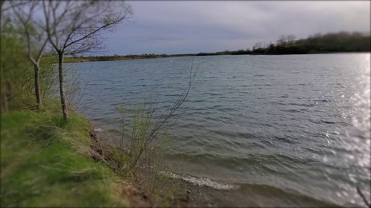 River Bend Forest Preserve