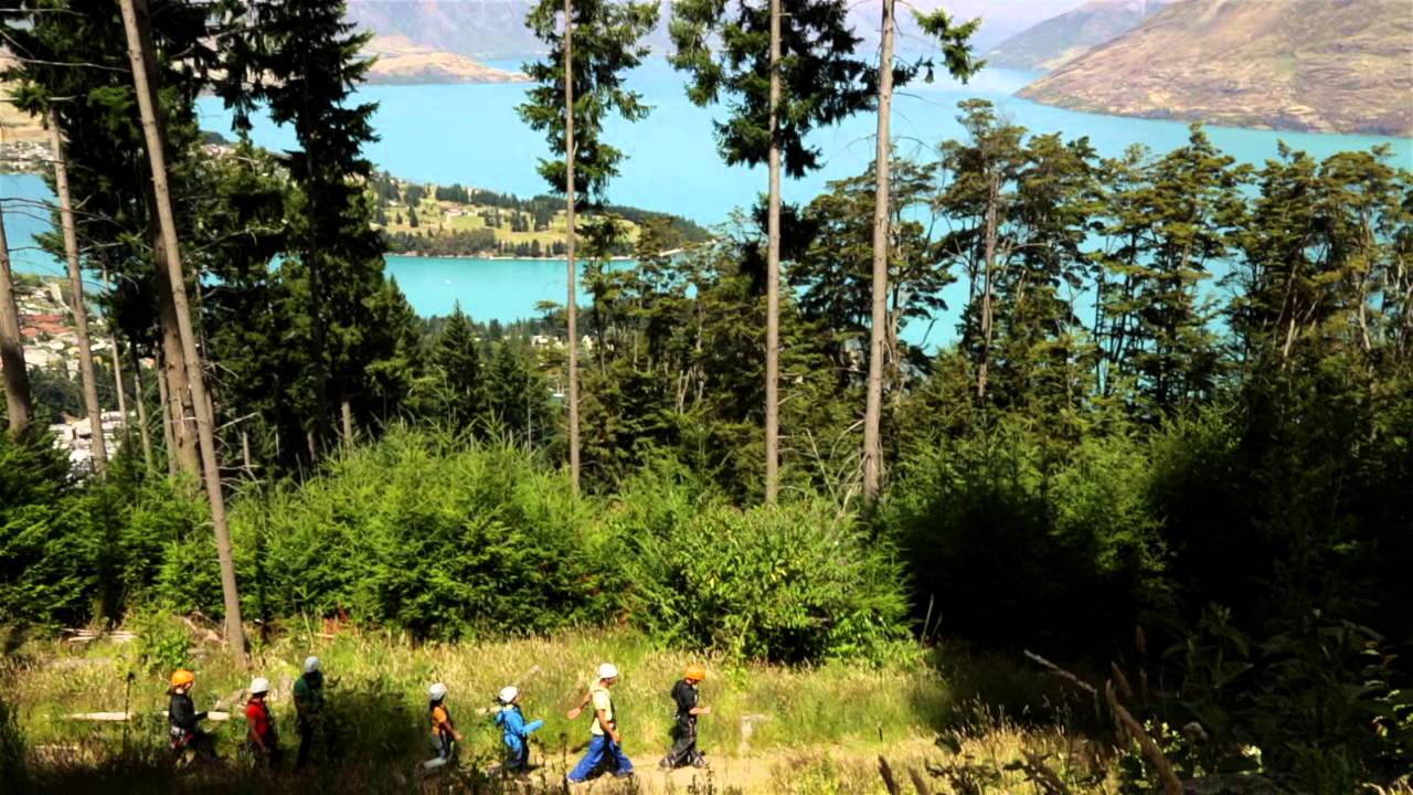Ziptrek whistler discount coupons