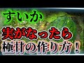 【すいか】実がなってからやるべきことはコレです！！肥大後の水管理が重要になります！！
