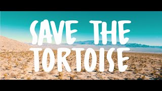 Famous Save the Tortoise Net Worth