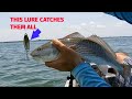 This lure catches everything fishing hurricane pass