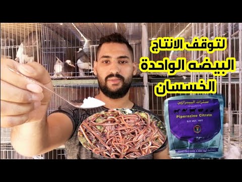 فيديو: أين يوجد البيرازين؟