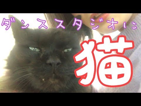 黒猫チェルシー渡辺大知、癒し系バンドでゆる～くダンス　「カルピスソーダ」新WEB限定ムービー　なんだかうまくいきソーダ『ひと夏の恋』編