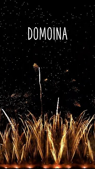 BON ANNIVERSAIRE DOMOINA !