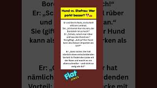 Hund vs. Ehefrau: Wer parkt besser? 🐶🚗 #witze #lustig #flachwitz #lachen #comedy