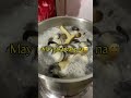 MASARAP KA KAHIT ANONG LUTO KA PA Halaan Tulya Seashells MASARAP KA KAHIT ANONG LUTO KA PA Halaan Tulya Seashells