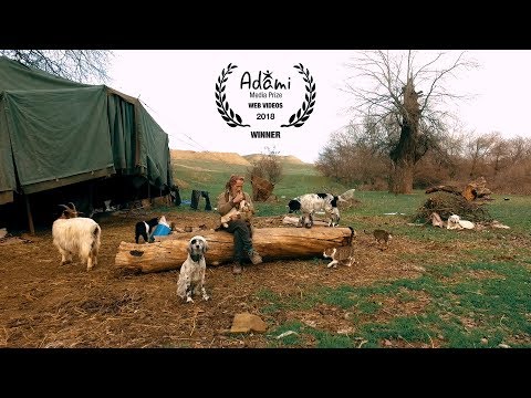 გორანი საქართველოში აქლემთან ერთად ცხოვრობს