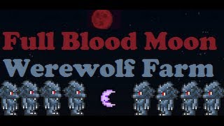 Terraria - Full Blood Moon; Moon Charm Farm