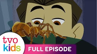 WILD KRATTS  Creepy Creatures!  Part 1  Full Episode