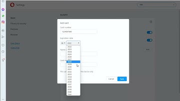 Add & Manage Payment Methods in Opera Browser