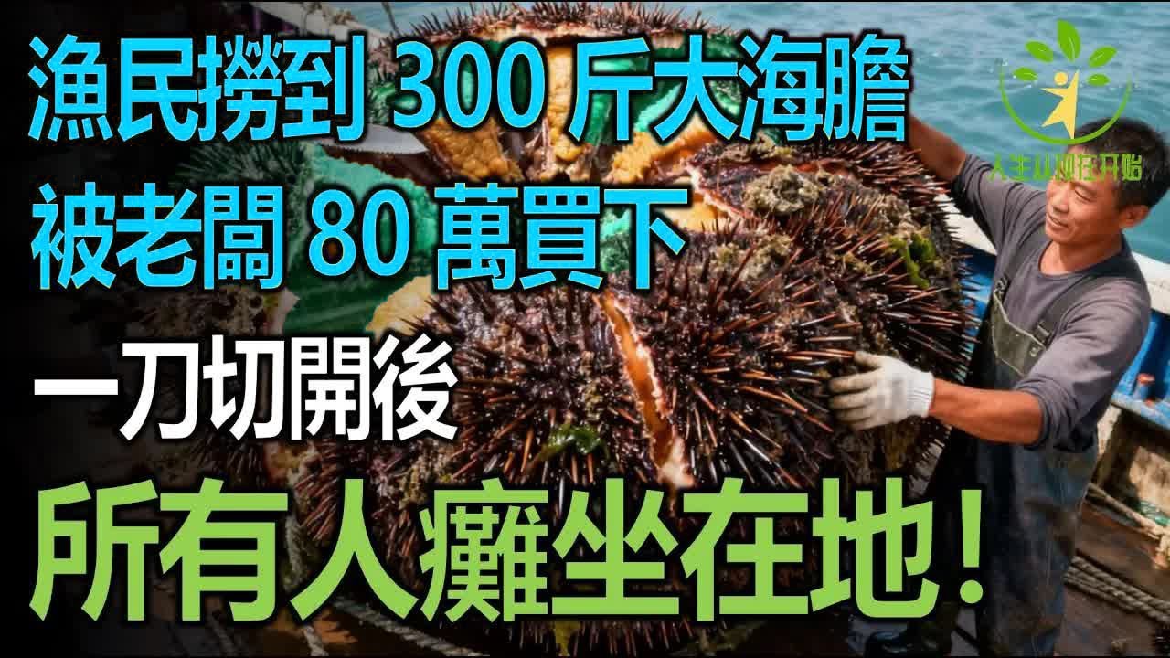 漁民撈到300斤大海膽，上岸後被老闆80萬買下，一刀切開後所有人愣住！