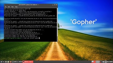 Before the WWW ~ What is Gopherspace?